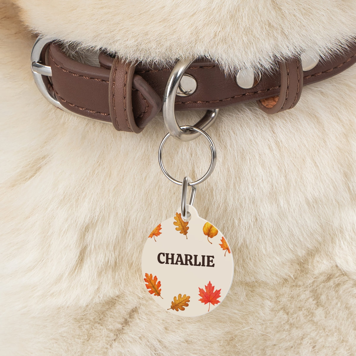 Personalized Fall Dog Tag – Autumn Leaves Custom Pet ID Tag