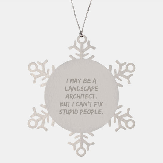 Funny Landscape Architect Gifts, Snowflake Ornaments with Inspirational Quote, Gifts from Friends for Landscape Architect, Men or Women, Christmas Unique Gifts - Image 1