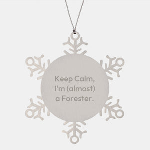 Forester Favorite Kids Christmas Ornament Gift - Image 1