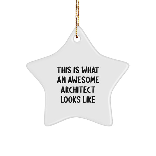 Funny Architect Gifts from Friends, This Is What An Awesome Architect Looks Like Star Ornament for Christmas Unique Gifts - Image 1