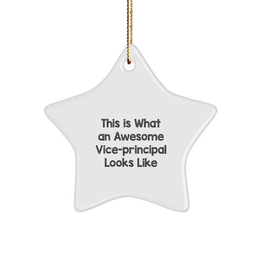 Funny Vice-Principal Gifts from Men to Vice-Principals, Star Ornaments for Christmas Unique Gifts - Image 1