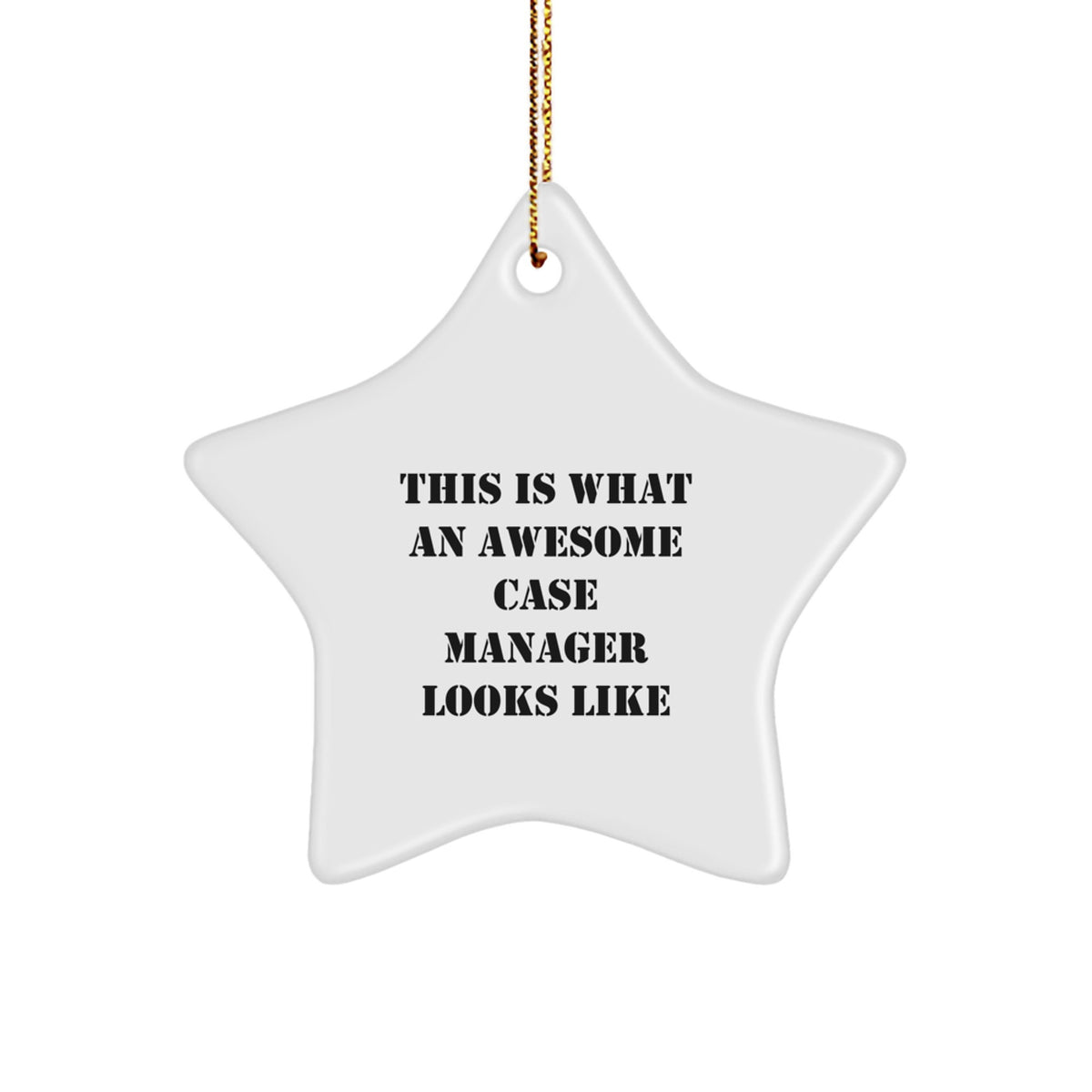 Case Manager Gifts from Family - This Is What An Awesome Star Ornament Looks Like for Christmas - Image 1