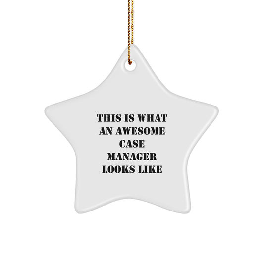 Case Manager Gifts from Family - This Is What An Awesome Star Ornament Looks Like for Christmas - Image 1