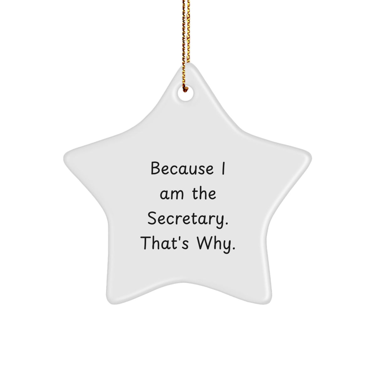 Funny 'Cause I'm The Secretary Star Ornament Gifts for Secretary from Friends and Family at Christmas - Image 1