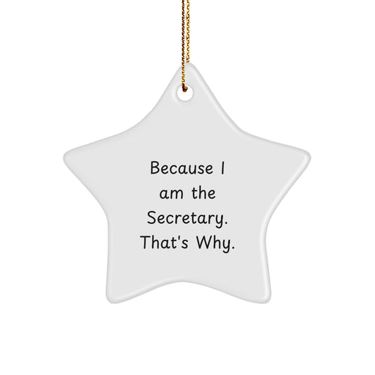 Funny 'Cause I'm The Secretary Star Ornament Gifts for Secretary from Friends and Family at Christmas - Image 1