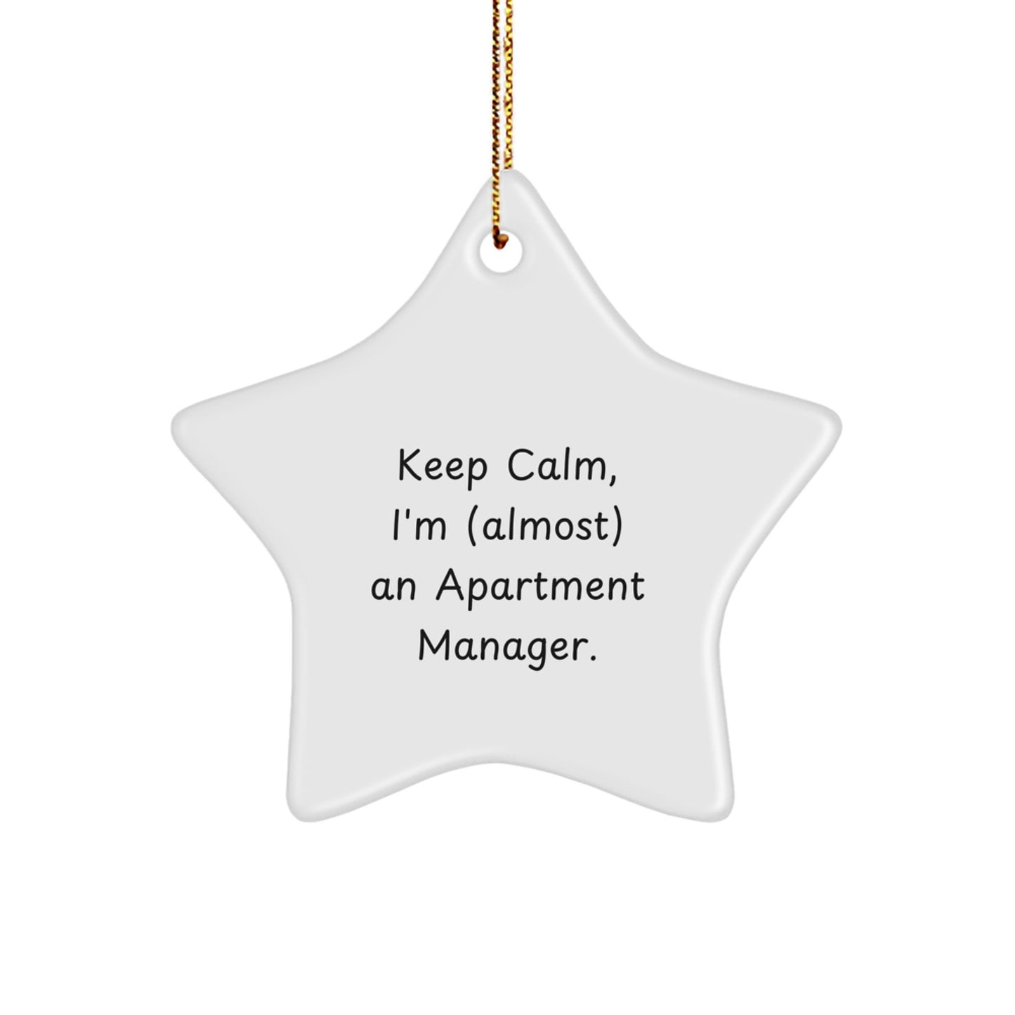 Star Ornament Idea for Coworkers – Apartment Manager Christmas Gift - Image 1