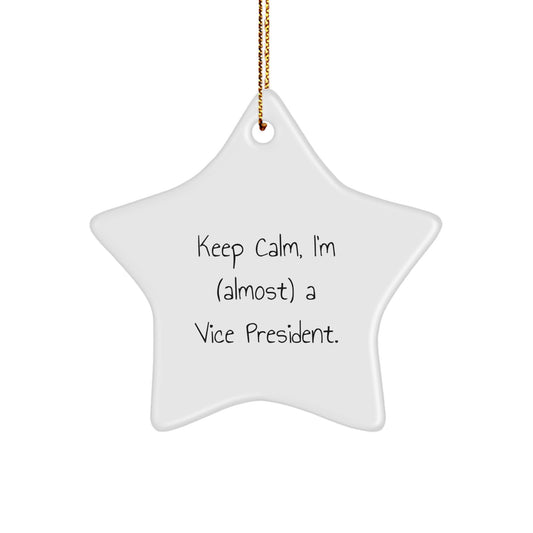 Christmas Gift for Her Vice President Star Ornament Present - Image 1