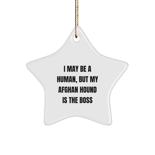 Afghan Hound Dog Gifts, I May Be A Human, But My Afghan Hound Is The Boss, Funny Christmas Star Ornament, Gifts from Family, for Afghan Hound Dog Owners - Image 1