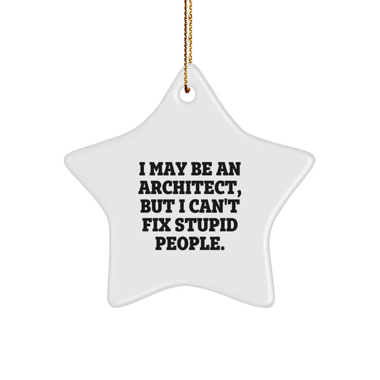 Funny Architect Gifts for Men - I May Be An Architect, But I Can't Fix Stupid People. - Star Ornament for Christmas - Gifts from Men to Architect - Image 1