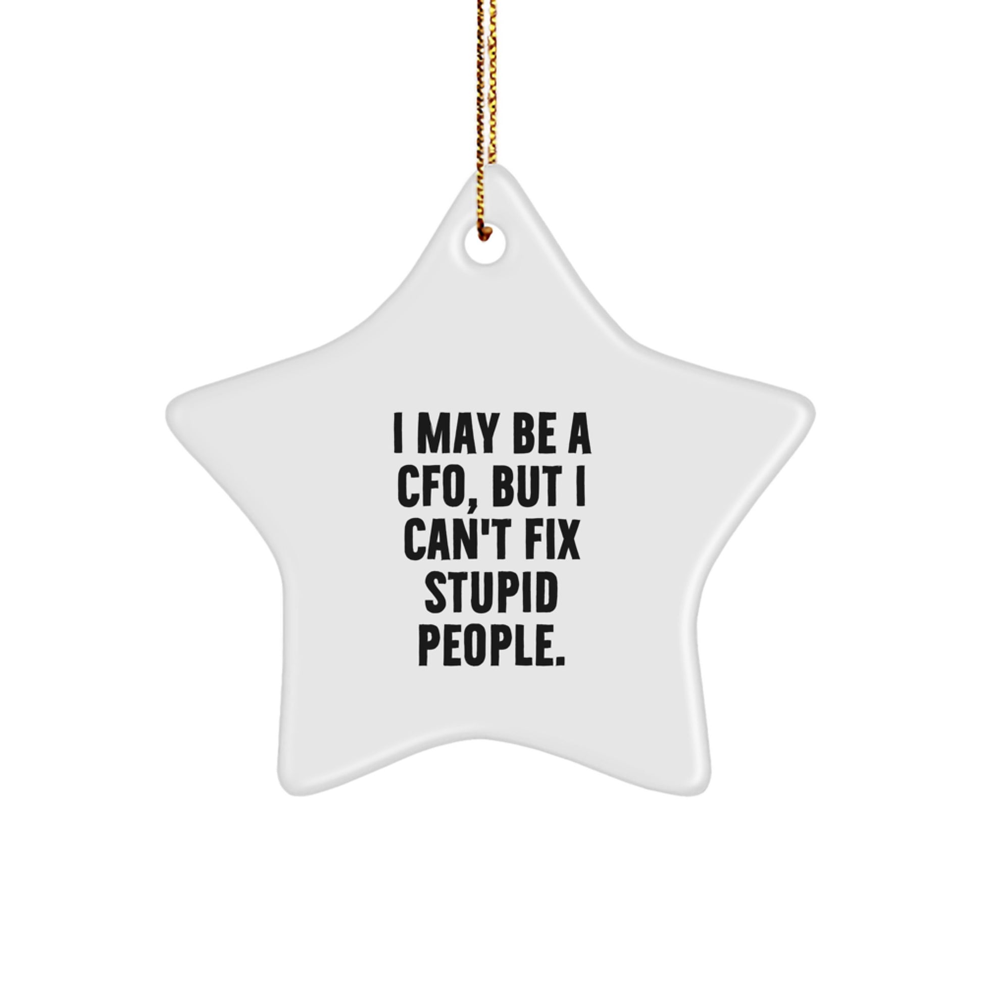 CFO Gifts from Friends: I May Be a CFO, But I Can't Fix Stupid People. Funny Star Ornament for CFO, Men, and Family - Image 1
