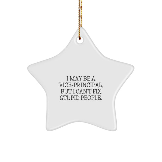 Vice-Principal Gifts from Friends - Funny Star Ornament, I May Be A Vice-principal, But I Can't Fix Stupid People. - Christmas Unique Gifts for Vice-Principal - Image 1