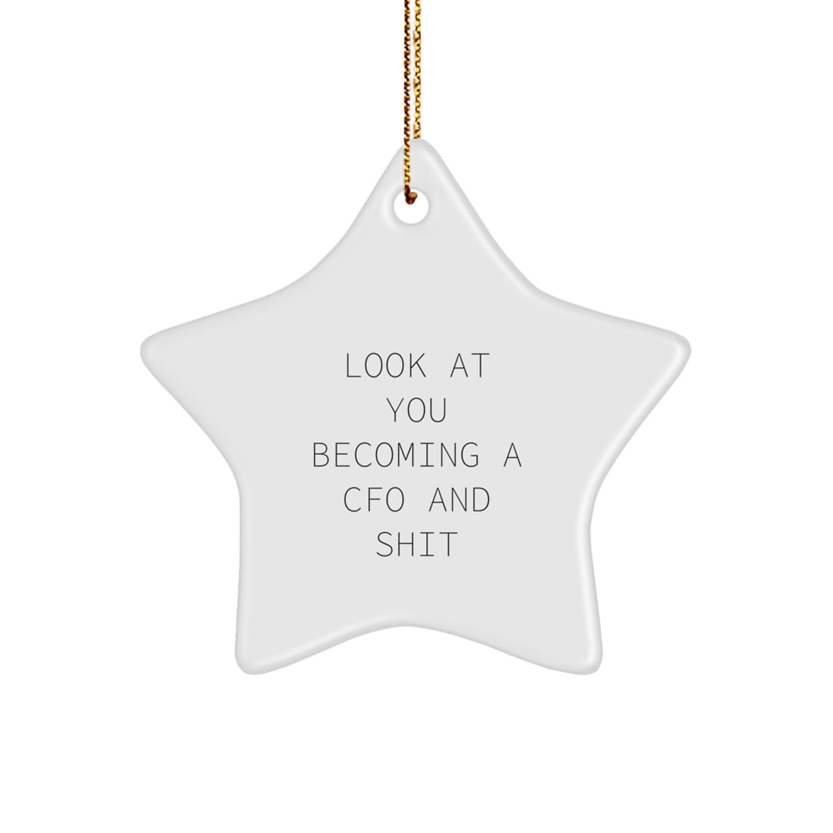 Funny CFO Gifts for Men and Women - 'Look At You Becoming A CFO' Star Ornament, White, 3.25'' Tall, Perfect For Friends and Family, Christmas Decor - Image 1