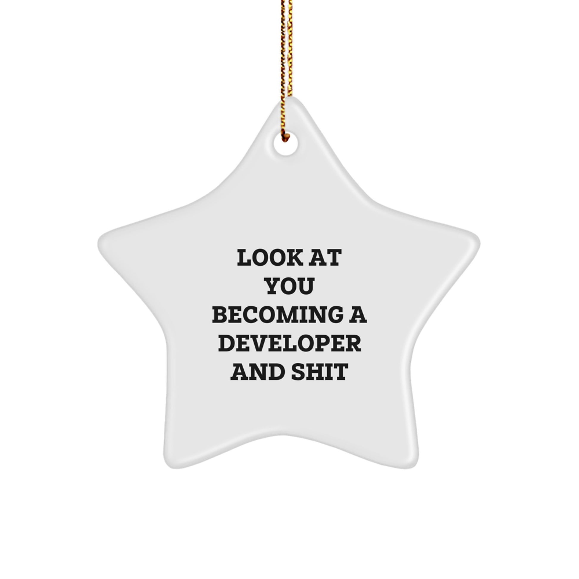 Developer Gifts from Friends to Family, Star Ornament with Funny Quote, Christmas Unique Presents - Image 1