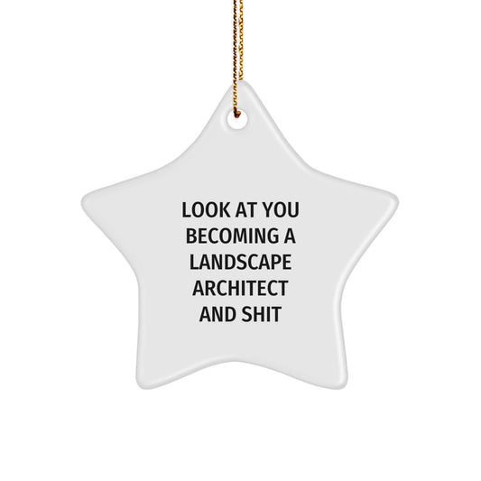 Landscape Architect Gifts from Friends, Unique Star Ornament with Funny Quote, Perfect for Christmas - Image 1