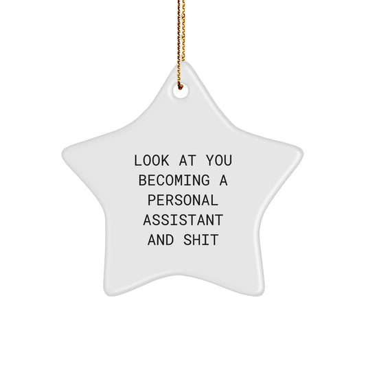 Funny Personal Assistant Gifts from Friends for Personal Assistants Christmas Unique Star Ornaments - Image 1