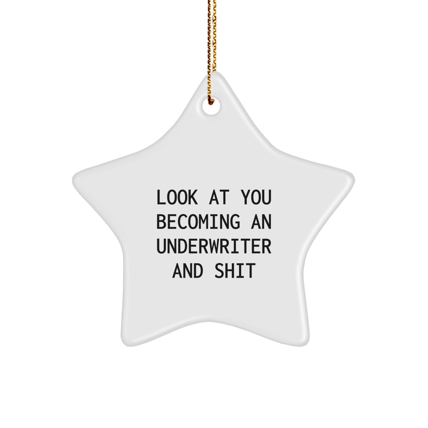 Funny Underwriter Gifts, Star Ornament for Men, Women, Friends or Family Members, Christmas Unique Gifts from Loved Ones - Image 1