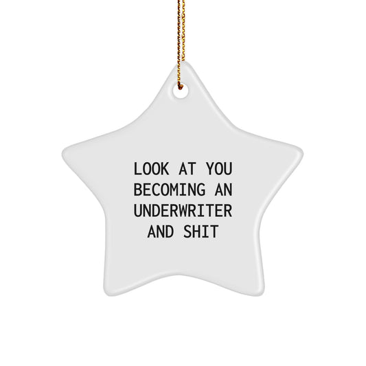 Funny Underwriter Gifts, Star Ornament for Men, Women, Friends or Family Members, Christmas Unique Gifts from Loved Ones - Image 1