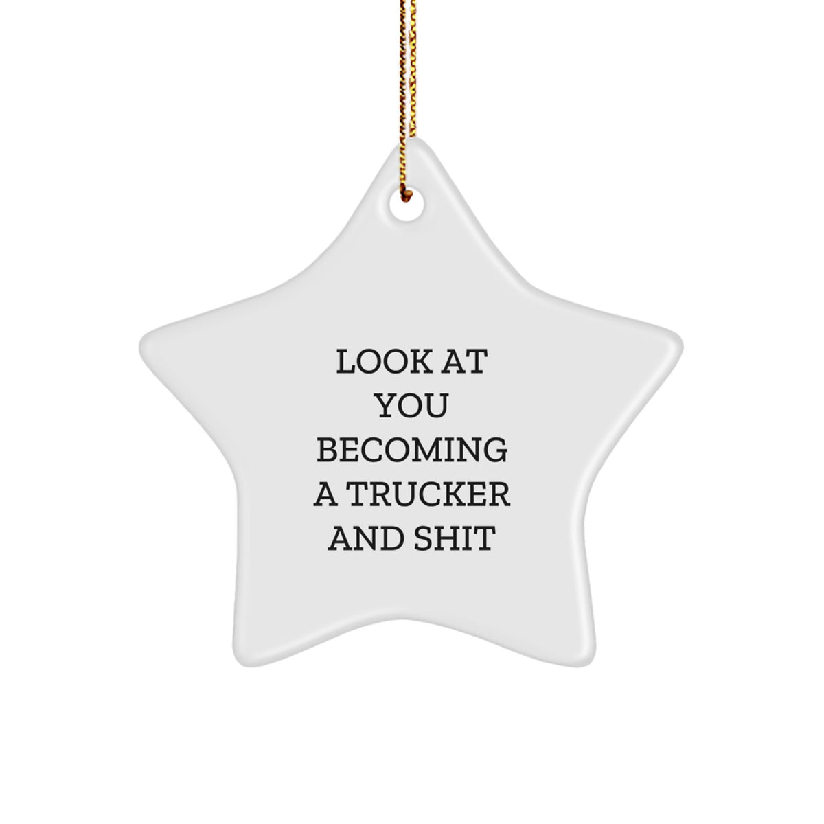 Funny Trucker Gifts from Friends for Men - Look At You Becoming A Trucker And Shit Star Ornament, Christmas Unique Decorations - Image 1