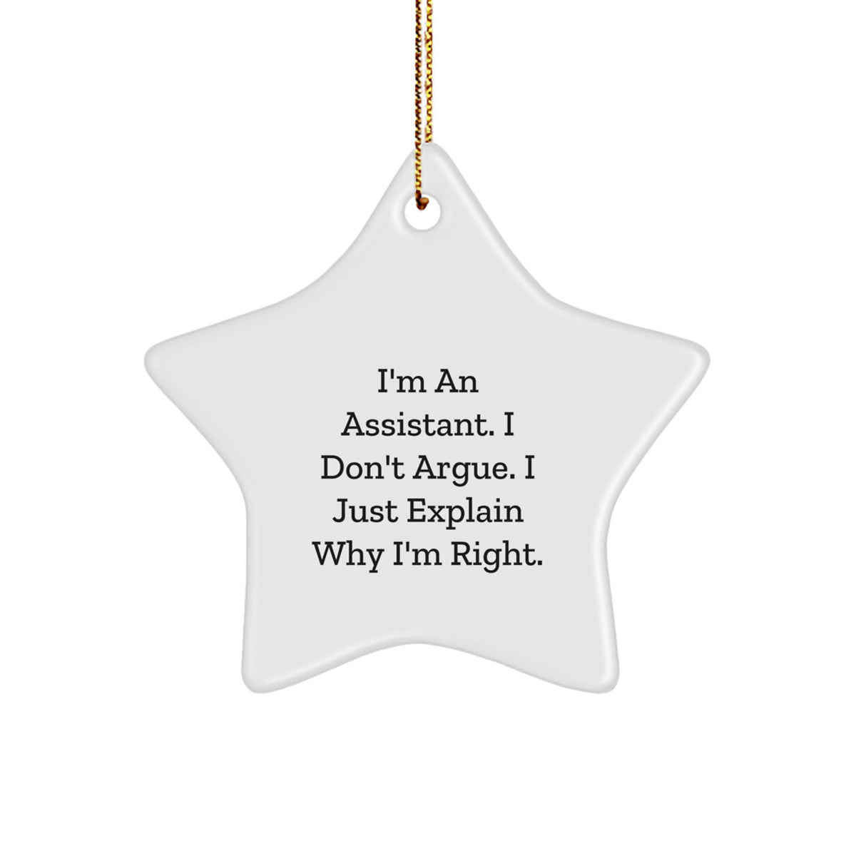 Funny Assistant Star Ornament Gifts from Friends for Assistant Christmas Unique Gifts - Image 1