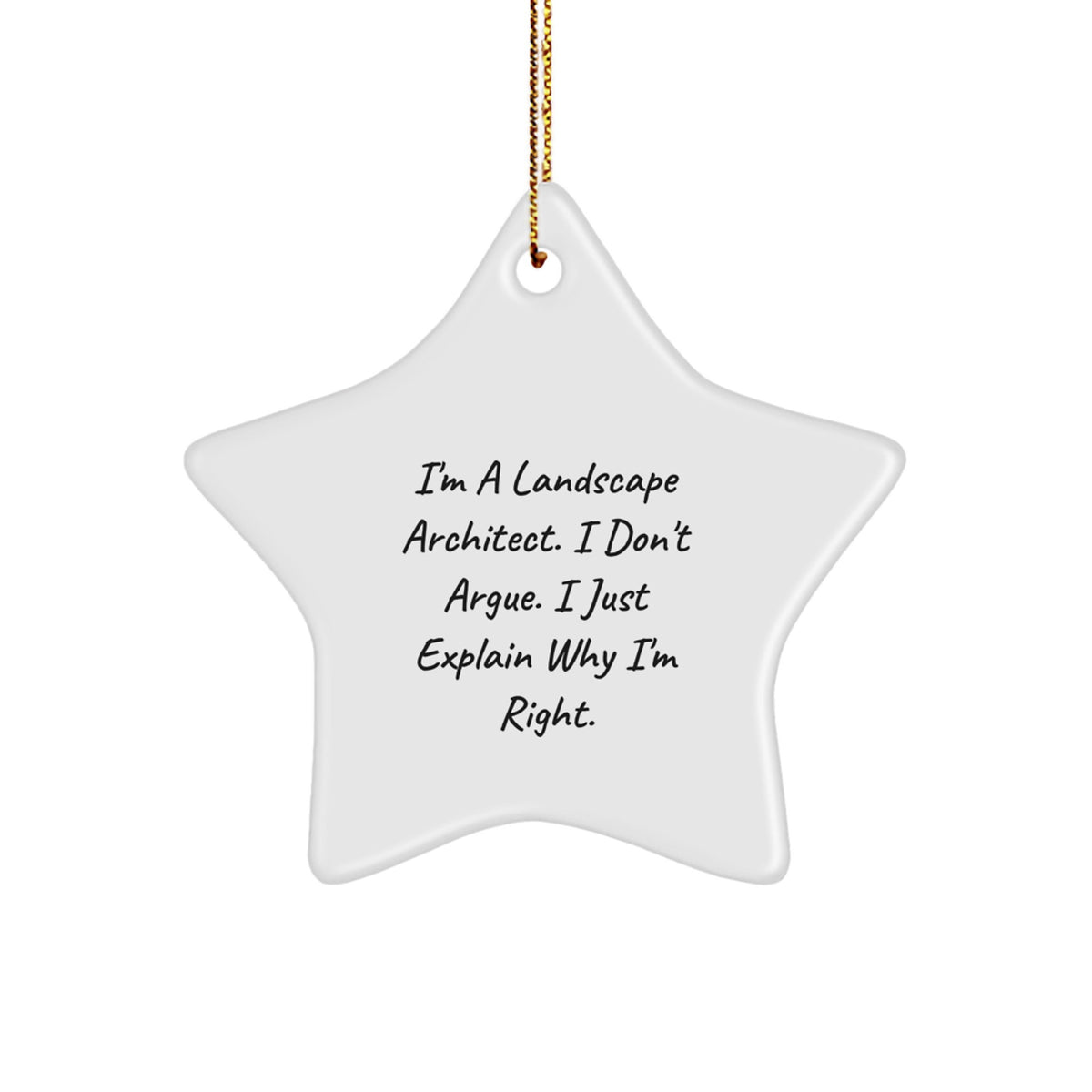 Landscape Architect Star Ornament, Funny Gift from Friends for Landscape Architects, Christmas Unique Gifts from Men - Image 1