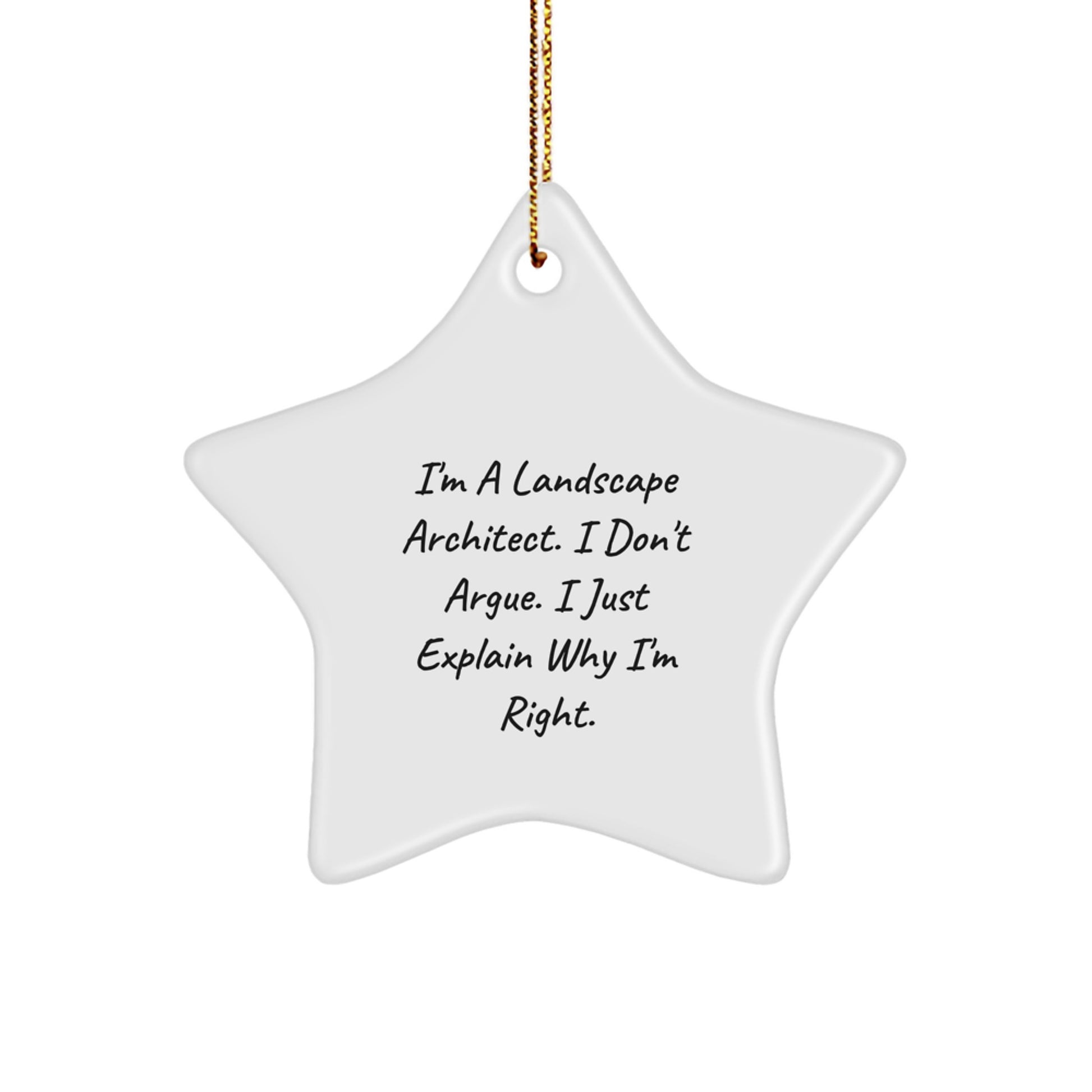 Landscape Architect Star Ornament, Funny Gift from Friends for Landscape Architects, Christmas Unique Gifts from Men - Image 1