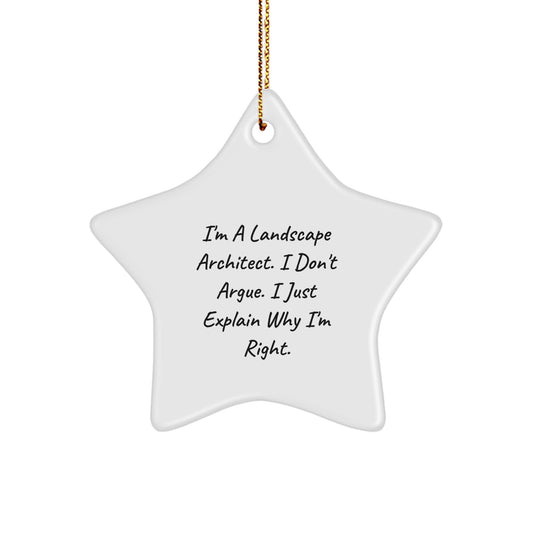 Landscape Architect Star Ornament, Funny Gift from Friends for Landscape Architects, Christmas Unique Gifts from Men - Image 1