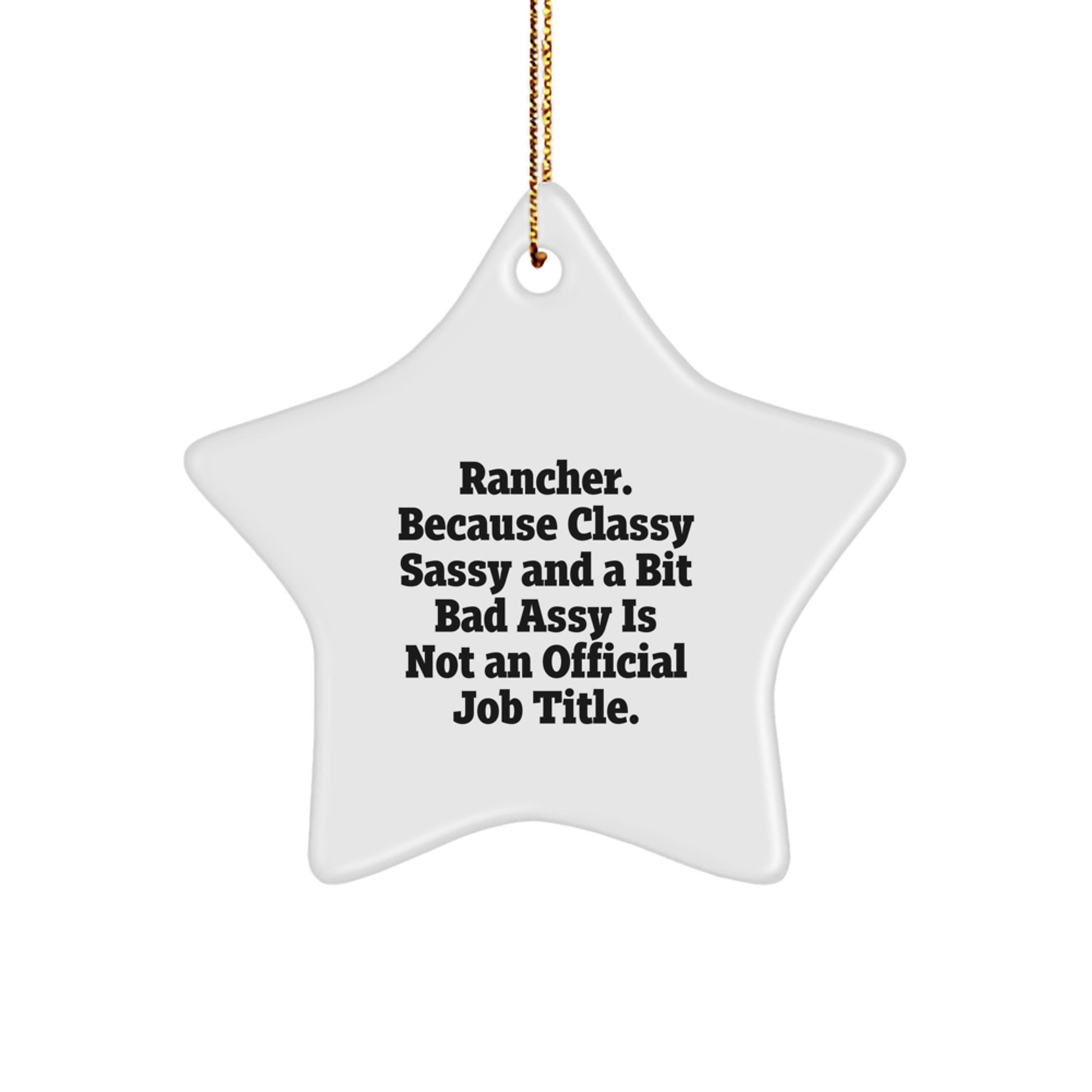 Rancher Star Ornament Gifts from Men to Rancher Friends, Funny Christmas Decorations, Classy Sassy And A Bit Fearlessy Is Not An Official Job Title Star Shaped - Image 1