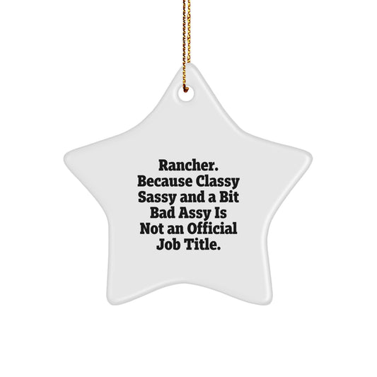 Rancher Star Ornament Gifts from Men to Rancher Friends, Funny Christmas Decorations, Classy Sassy And A Bit Fearlessy Is Not An Official Job Title Star Shaped - Image 1