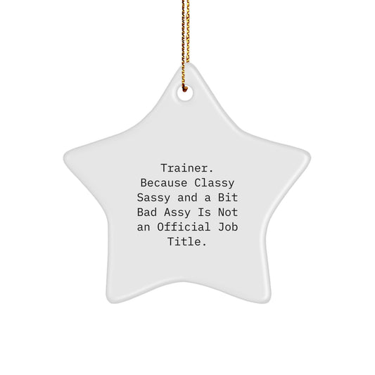 Funny Trainer Gifts from Friends with Sassy Star Ornament, Perfect for Trainer Men or Women on Christmas, Inspirational Quote - Image 1