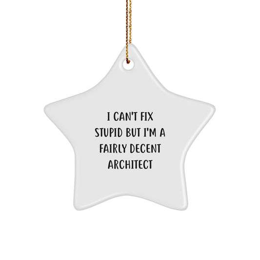 Architect Gifts for Him Funny Star Ornament 'I Can't Fix Stupid' Christmas Decorations from Friends - Image 1