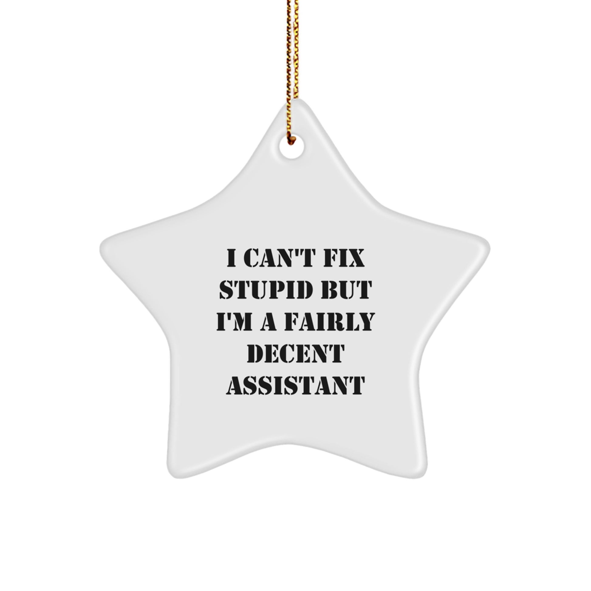 Funny Assistant Gifts for Men - 'I Can't Fix Stupid' Star Ornament, Christmas Unique Gifts from Friends - Image 1