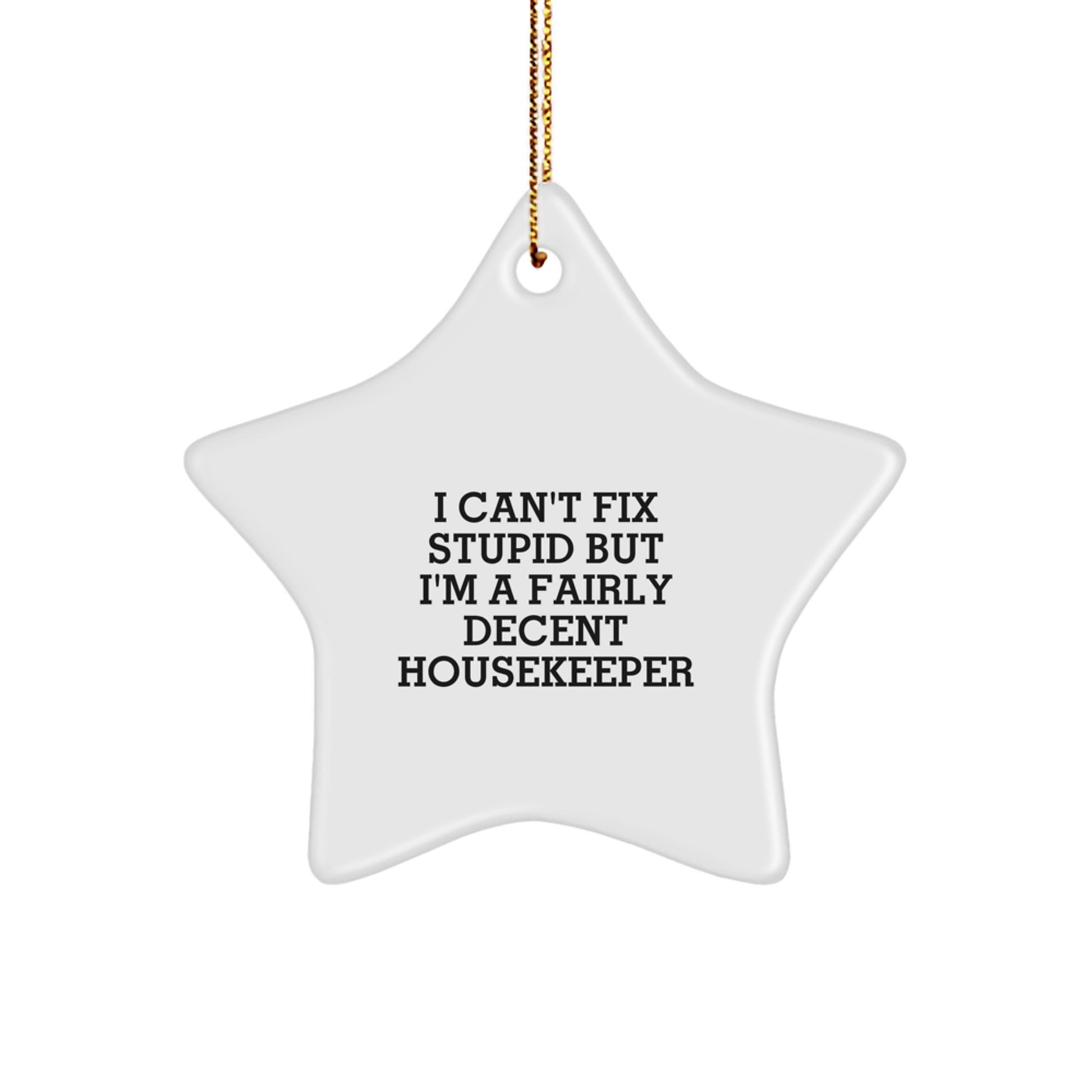Funny Housekeeper Gift Ideas - 'I Can't Fix Stupid' Star Ornament for Friends, Coworkers, or Family Members, Christmas Unique Gifts - Image 1