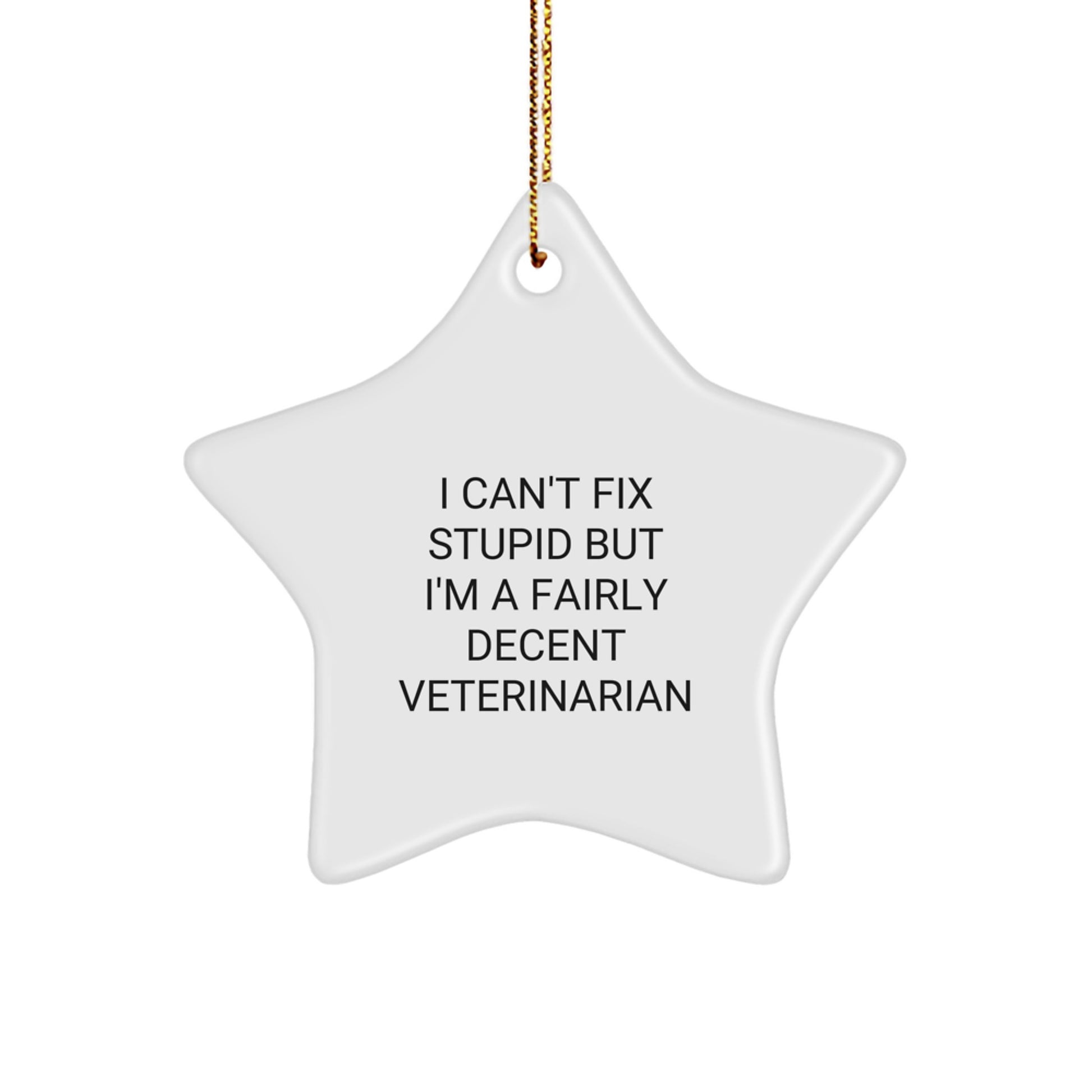 Funny Veterinarian Christmas Star Ornament Gifts from Friends for Veterinarian Men Women Coworkers Family - 'I Can't Fix Stupid' Star Decoration - Image 1