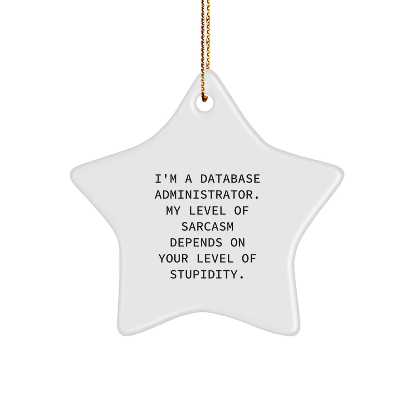 Funny Database Administrator Star Ornament Gifts for Men Women Friends Family - I'm A Database Administrator. My Level Of Sarcasm Depends On Your Level Of Stupidity. - Image 1
