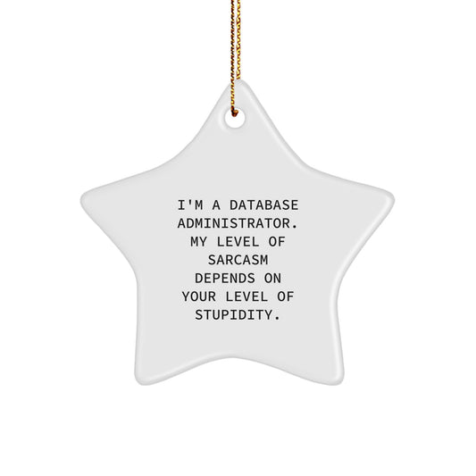 Funny Database Administrator Star Ornament Gifts for Men Women Friends Family - I'm A Database Administrator. My Level Of Sarcasm Depends On Your Level Of Stupidity. - Image 1