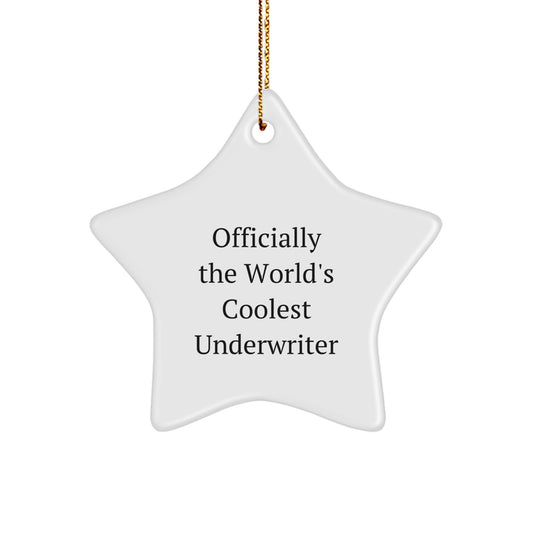 Cute Underwriter Gifts from Friends - Officially The World's Coolest Underwriter Star Ornament for Men Women Family Coworkers - Image 1