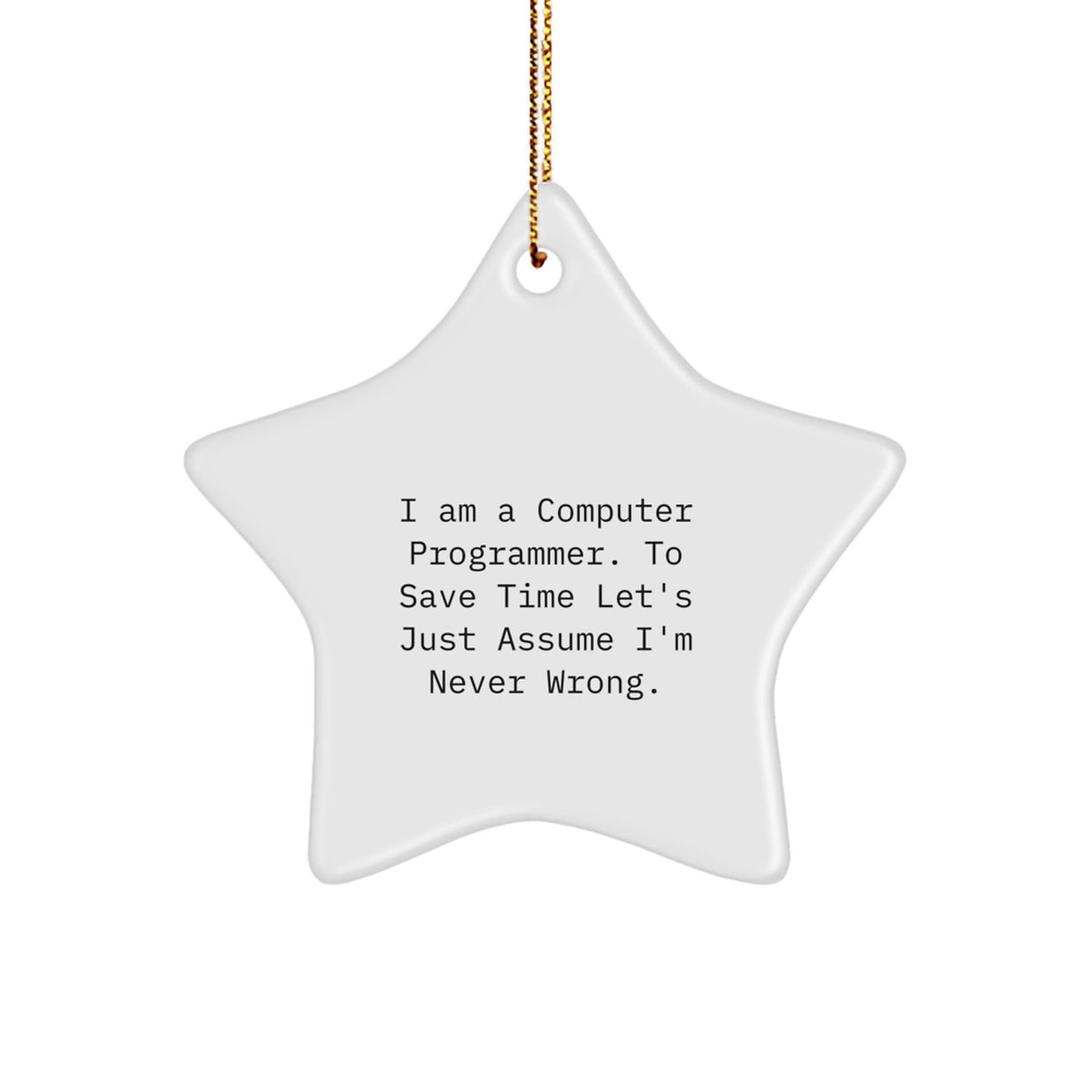 Funny Computer Programmer Gifts from Friends for Men, Star Ornament Christmas Unique Decorations, 'I Am A Computer Programmer. To Save Time Let's Just Assume I'm Never Wrong.' - Image 1