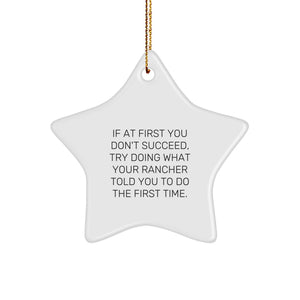 Funny Ranch Gifts from Friends for Rancher, Star Ornament Christmas Unique, Inspirational Star Shaped MDF Wood - Image 1