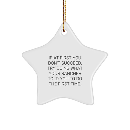 Funny Ranch Gifts from Friends for Rancher, Star Ornament Christmas Unique, Inspirational Star Shaped MDF Wood - Image 1
