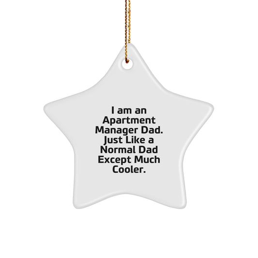 Funny Apartment Manager Dad Star Ornament, Gifts for Apartment Managers, Unique Christmas Unique Gifts from Friends to Men - Image 1