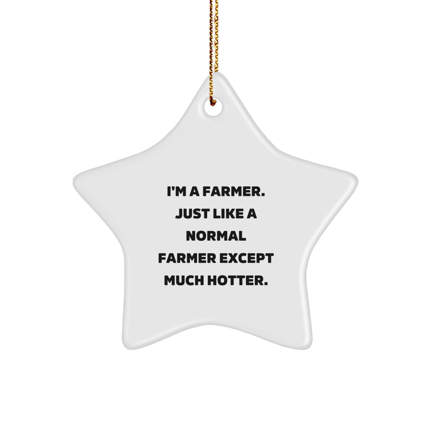 Funny Farmer Gifts from Men to Farmer Friends - Star Ornament for Christmas, 'I'm A Farmer. Just Like A Normal Farmer Except Much Hotter.' - Image 1