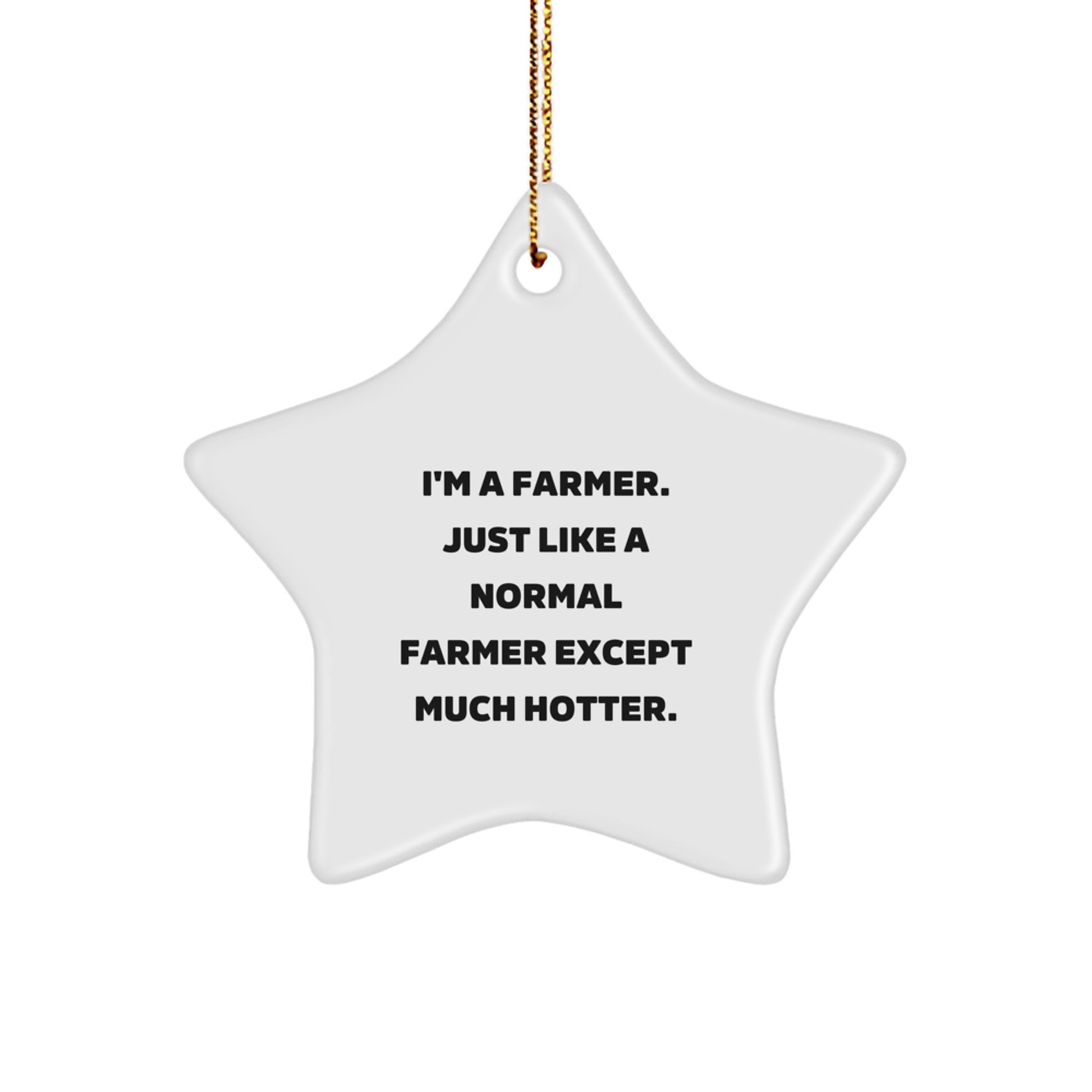 Funny Farmer Gifts from Men to Farmer Friends - Star Ornament for Christmas, 'I'm A Farmer. Just Like A Normal Farmer Except Much Hotter.' - Image 1