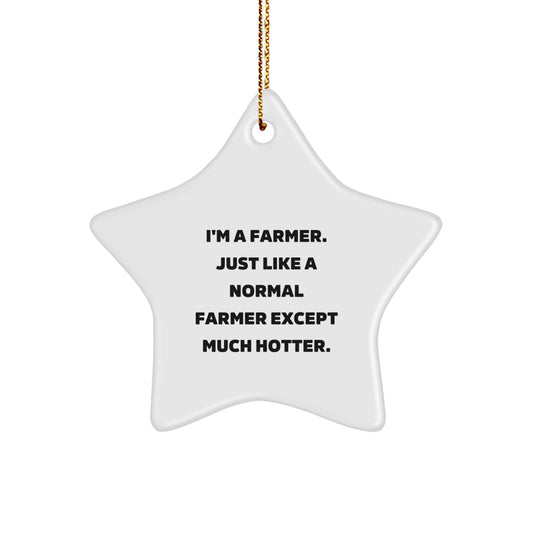 Funny Farmer Gifts from Men to Farmer Friends - Star Ornament for Christmas, 'I'm A Farmer. Just Like A Normal Farmer Except Much Hotter.' - Image 1