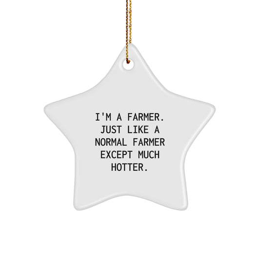 Funny Farmer Gifts - 'I'm A Farmer. Just Like A Normal Farmer Except Much Hotter.' Star Ornament for Men, Women, Friends, or Coworkers - Image 1