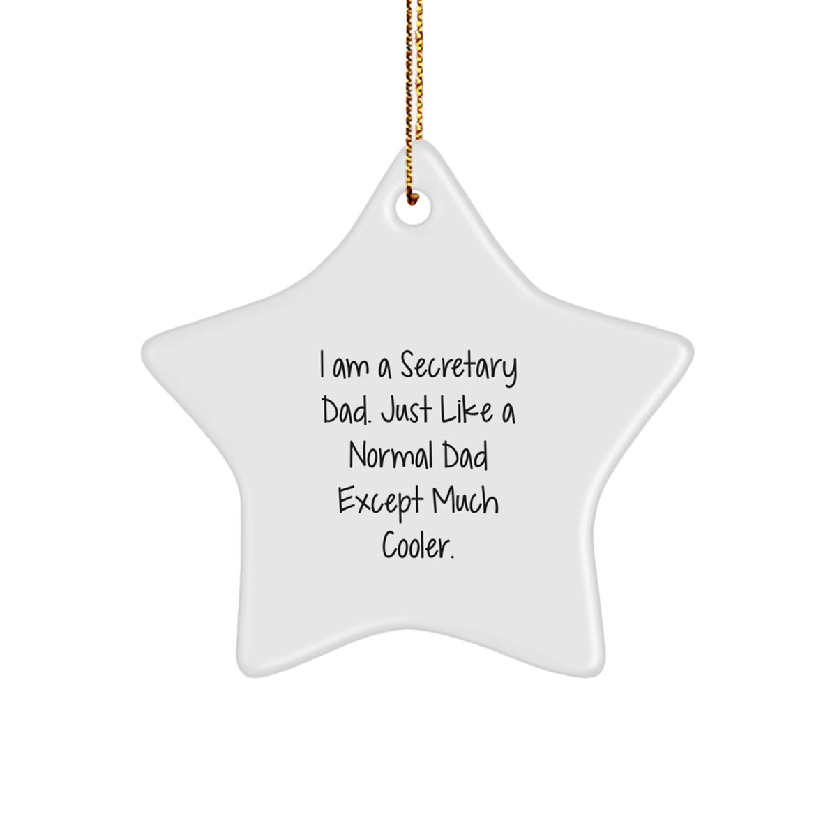 Funny Secretary Dad Gifts from Men to Secretary for Christmas Unique Gifts - Image 1