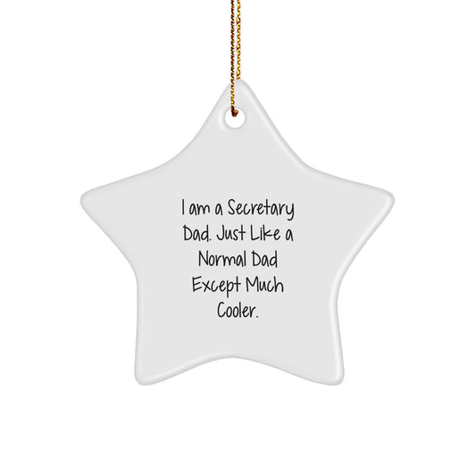 Funny Secretary Dad Gifts from Men to Secretary for Christmas Unique Gifts - Image 1