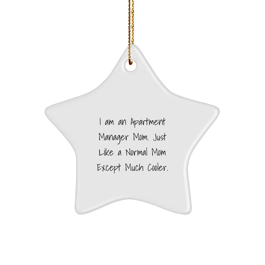 Funny Gifts from Apartment Manager Friends and Family, Unique Star Ornament for Apartment Manager Mom, Christmas Decorations - Image 1