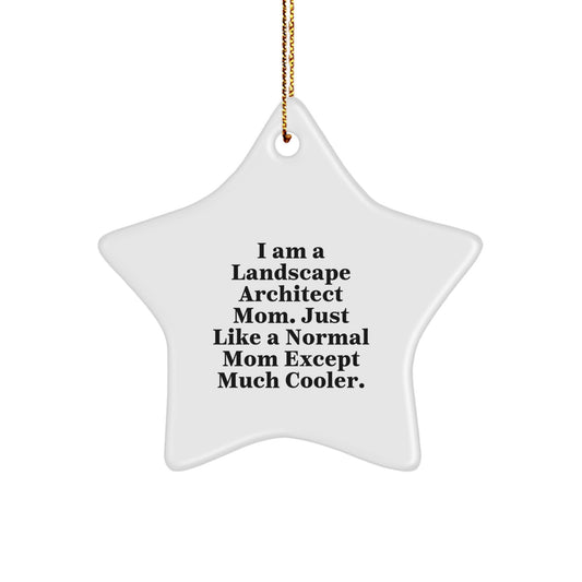 Funny Landscape Architect Gifts from Mom to Landscape Architect Daughter or Son Christmas Unique Star Ornament - Image 1