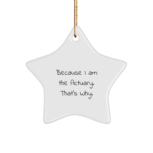 Actuary Keepsake Christmas Ornament for Him Professional Gift - Image 1