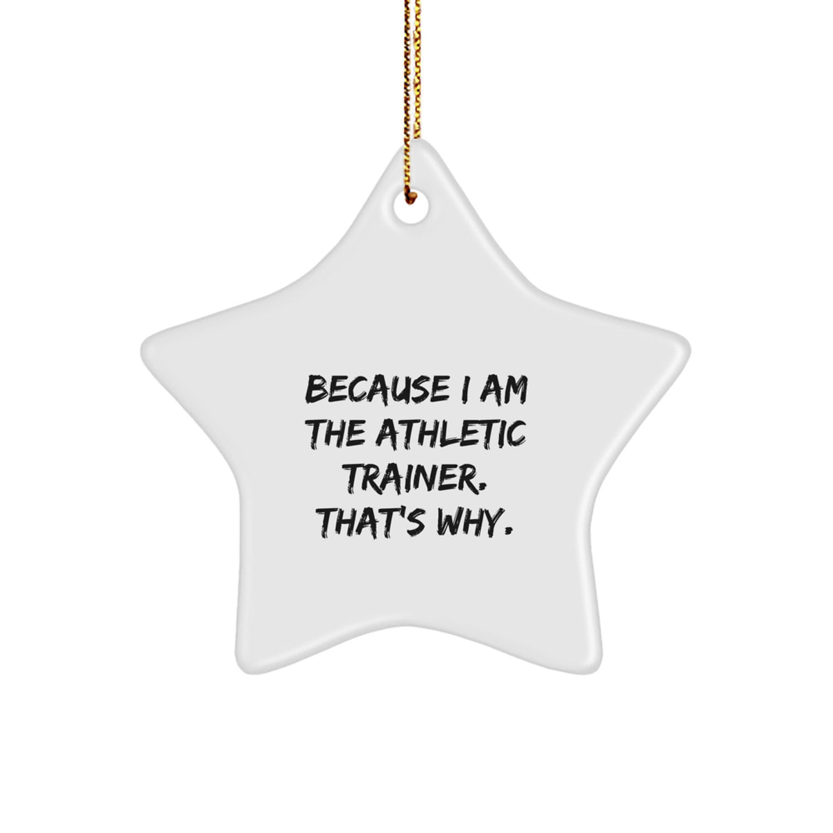 Funny Star Ornament Gifts from Family for Athletic Trainers - Inspirational Christmas Unique Decorations - Star Shaped MDF Wood with Gold Cord - Image 1